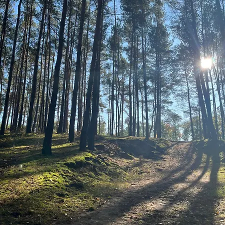 Nyaraló Szydlowiec *